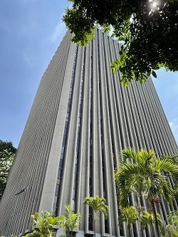 Torre Cavendes, Caracas